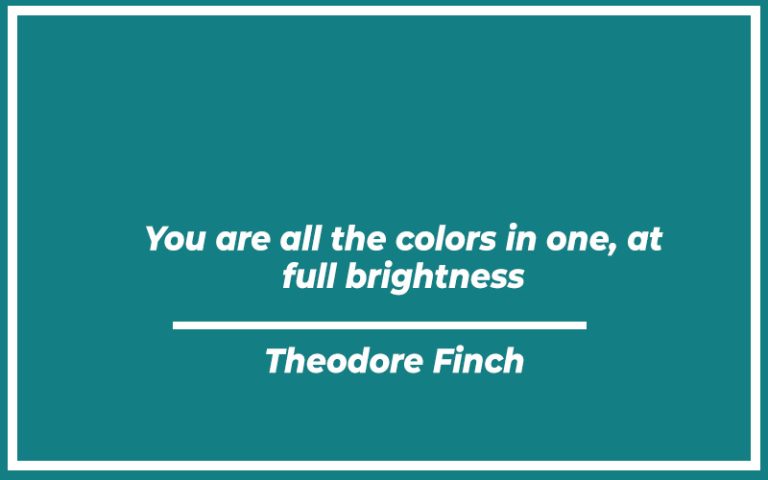 All The Bright Places Quote
