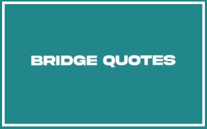 113 Best Bridge Quotes (with Commentary) - Burning For Success