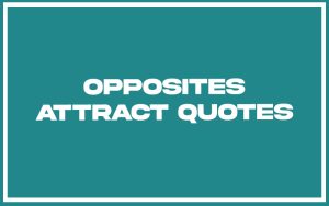 151 Best Opposites Attract Quotes (with Commentary) - Burning For Success