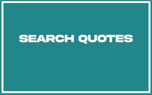 151 Best Search Quotes (with Commentary) - Burning For Success