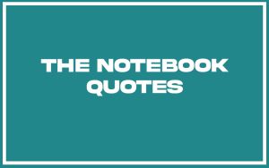 151 Best The Notebook Quotes (with Commentary) - Burning For Success