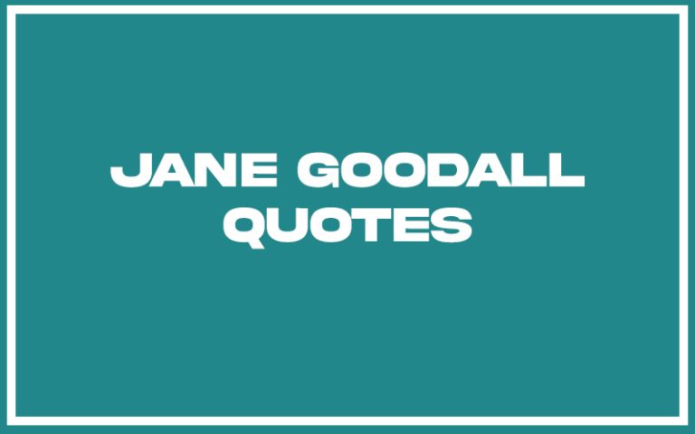 151 Best Jane Goodall Quotes (with Commentary) - Burning For Success
